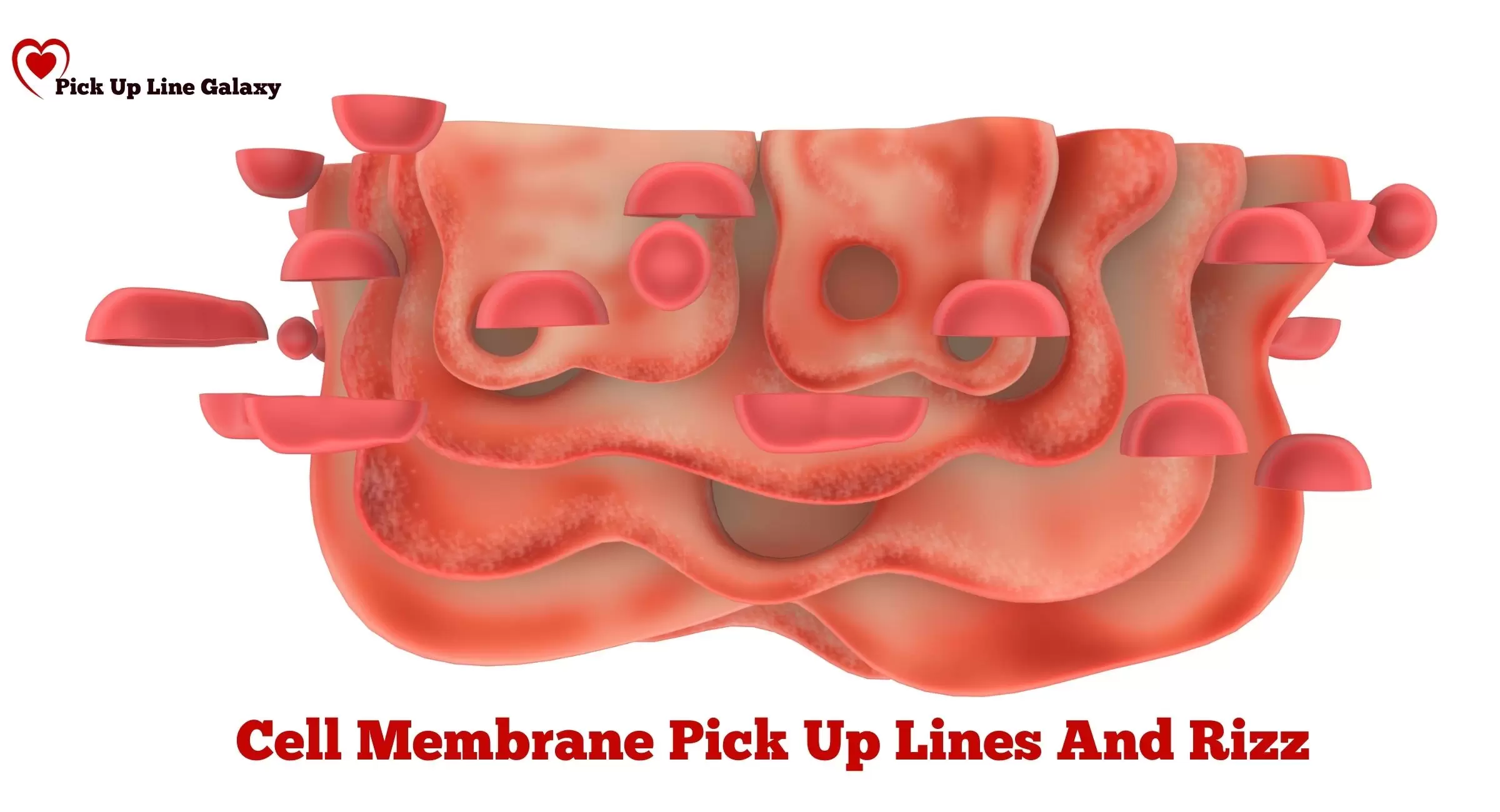 Cell Membrane Pick Up Lines And Rizz