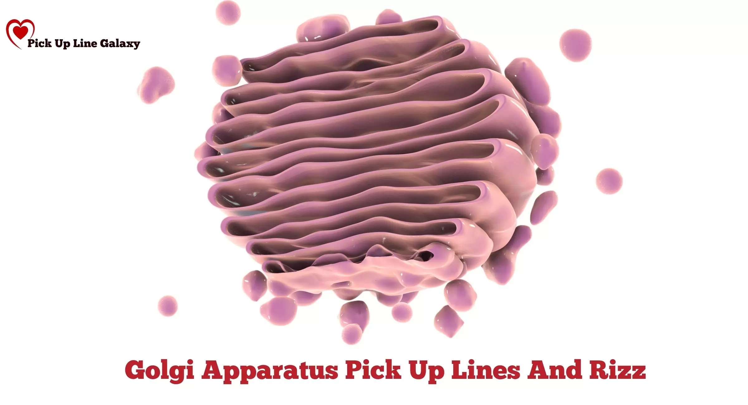 Golgi Apparatus Pick Up Lines And Rizz
