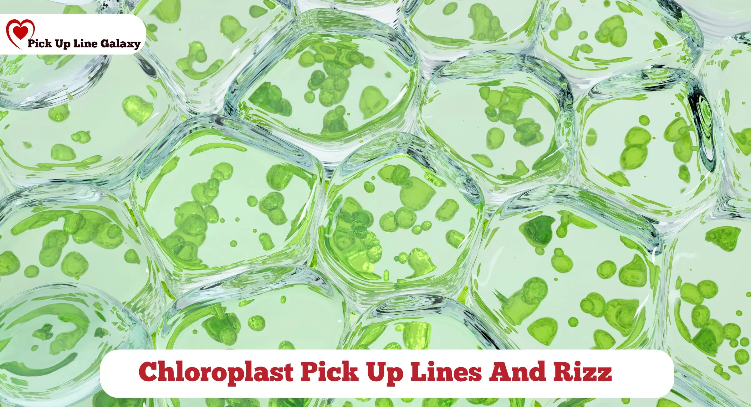Chloroplast Pick Up Lines And Rizz