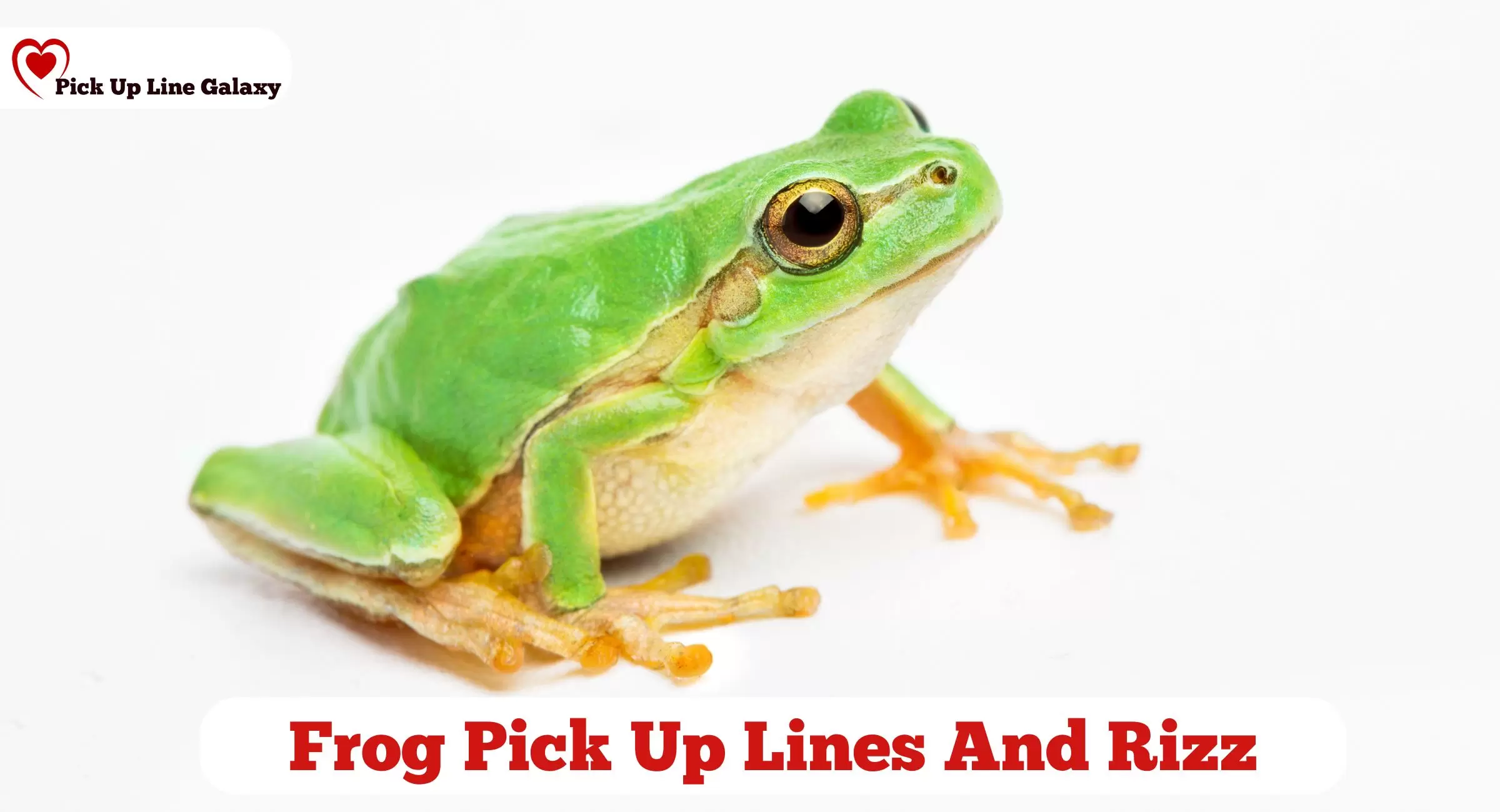 Frog Pick Up Lines And Rizz