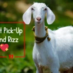 Goat Pick-Up Lines